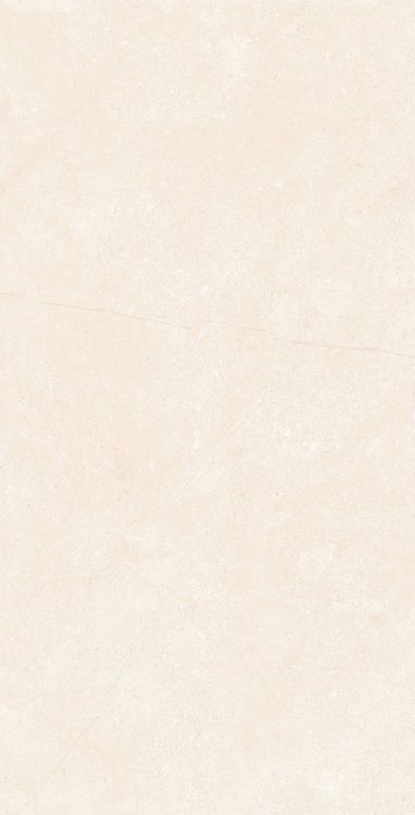 OL Marfil Matte 12 x 24